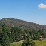 Palomar_0065 (September 10, 2011)